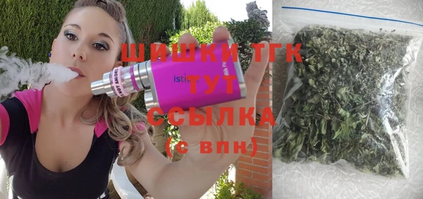 бошки Ельня
