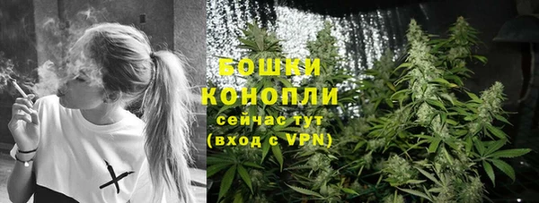 спиды Елабуга
